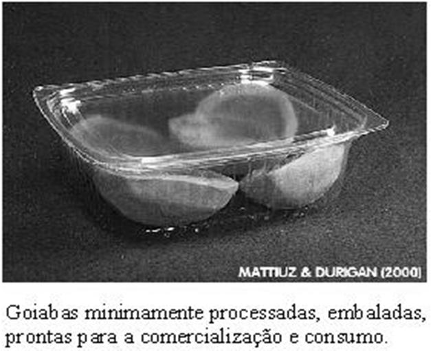 MATTIUZ & DURIGAN (2000) ESTADIOS DE MADURACION DE LA GUAYABA ALMACENAMIENTO: Los frutos deben ser mantenidos en ambiente a ± 22 C, por dos dias, con la finalidad de proporcionar la evolución de la