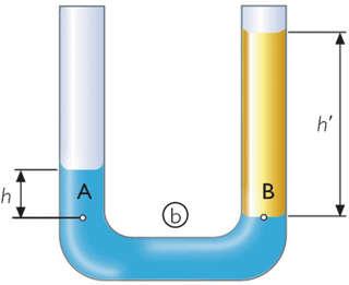 Este fenómeno se conoce como el principio de los vasos comunicantes. Los vasos comunicantes son dos o más recipientes conectados por su parte inferior.