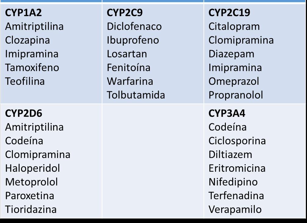 3. CAUSAS FARMACOCINÉTICAS Enzimas más relevantes del citocromo P450 y algunos