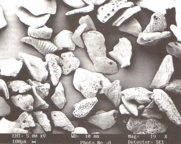 Fotos de microscopía de escáner de