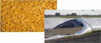 Utilización de los granos de cereales Mejoras en su
