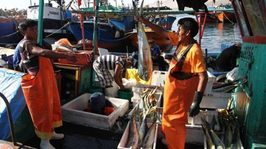 Principios Sostenibilidad de la pesca y de la acuicultura