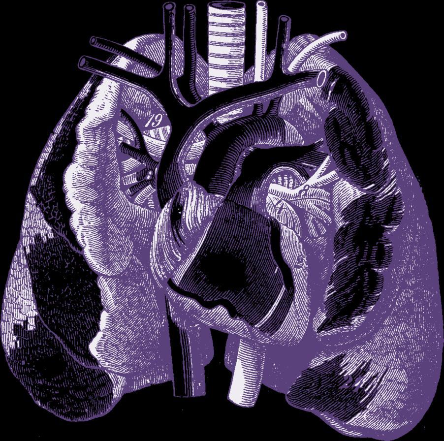 imagen 2. Biomarcadores en pulmón 1.