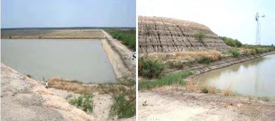 ALGUNAS MEDIDAS DE ADAPTACIÓN Ejemplo de tajamares para cosecha de agua Reservorios de