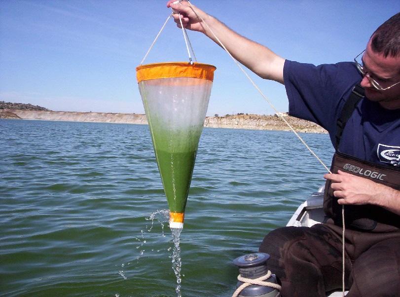 Fotografía 1. Toma de muestra de zooplancton Una vez tomadas las muestras, éstas se conservaron en viales de plástico con etanol al 70 %, adecuadamente referenciadas.