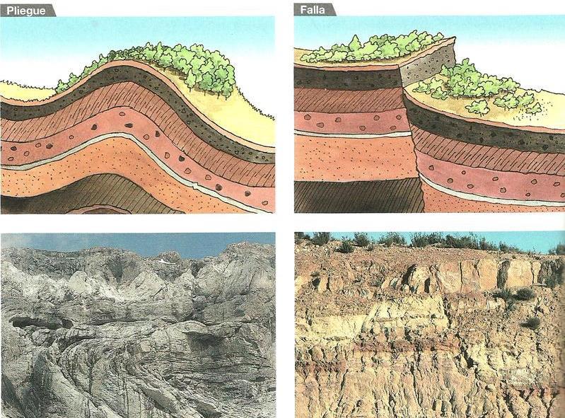 4. La formación del relieve Placas tectónicas: Movimiento de la corteza terrestre, que se