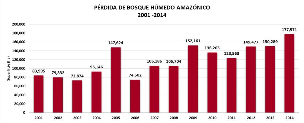 Deforestación: Escenario Actual PÉRDIDA DE BOSQUES HÚMEDOS AMAZÓNICOS DEL PERÚ 2001-2013 Periodo Pérdida
