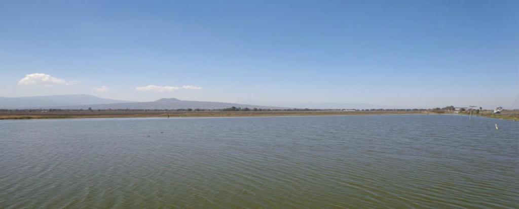 márgenes del extinto lago de Chalco, y era conocida por los habitantes indígenas con el nombre de Xico, con el cual se le conoce desde la época prehispánica, agregándosele el nombre cristiano de San