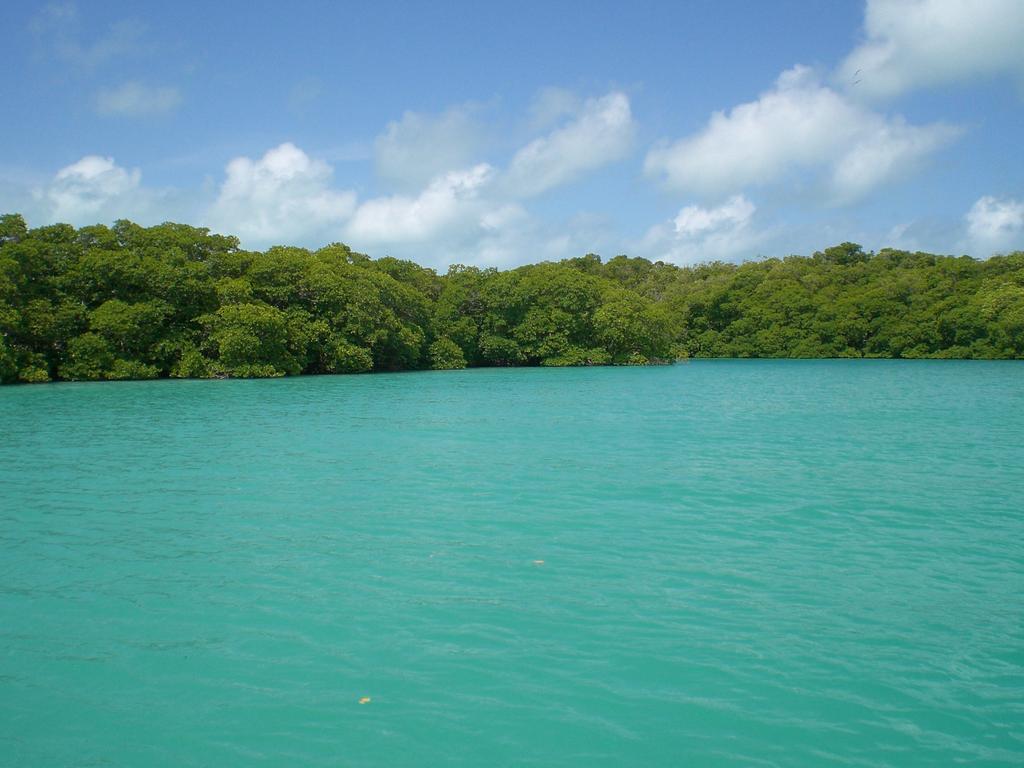 2 Taller de consulta para el programa de monitoreo de los manglares de MéxicoM