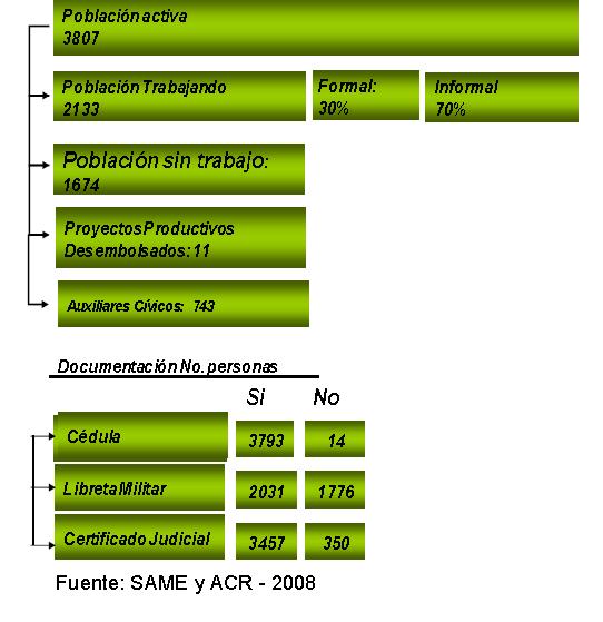 reinsertadas que contaban con documentación para el año 2008 (Ver gráfico 1 y Tabla 2) Gráfico 1.