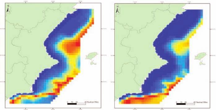 3 Estudio de ejemplares en el medio natural Rorcual común Densidad relativa. 0.0012 individuos/milla náutica. Distribución. Aguas profundas bordeando la plataforma continental. Tamaño medio del grupo.
