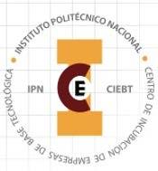 INSTITUTO POLITÉCNICO NACIONAL Secretaría de Extensión e Integración