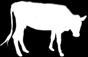 A continuación se presenta la descripción de las características en la escala 1 a 5 utilizada en el ganado lechero 1. Emaciado.