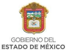 Instituto de Profesionalización de los Servidores Públicos del Poder Ejecutivo del Gobierno del Estado de México www.edomex.