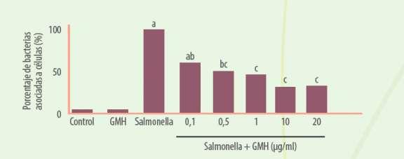 Figura 2. Porcentaje de Salmonella adherida a células epiteliales en presencia de β- galactomananos vegetales hidrolizados (SALMOSAN. Industrial Técnica Pecuaria, S.A.).