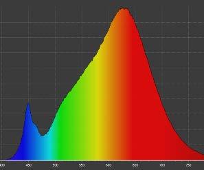 radiancia es nula fuera de este rango), con máximo valor de radiancia en 595±10nm y ancho de banda medio inferior a 90nm (110nm con filtro); ni habrá una radiancia espectral singular por debajo de