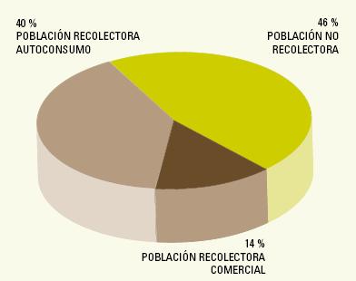 Población recolectora de Castilla y León. El 54 % de la población rural local es recolectora de setas: 570.000 recolectores El 40 % de la población rural local recolecta para autoconsumo.