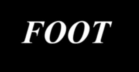 FOOT -