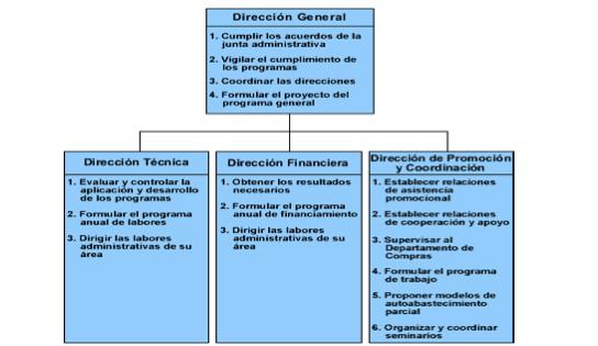c) Mixtos: Se representa la estructura de una empresa utilizando combinaciones verticales y