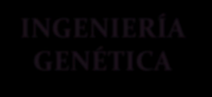 INGENIERÍA GENÉTICA La ingeniería genética es una parte de la biotecnología