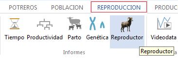 5. Informes Reproducción por Reproductor En estos informes se pueden observar los indicadores reproductivos de un macho en específico, con relación a la raza.