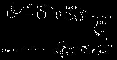 La eliminación de Hofmann es útil para la apertura de aminas cíclicas,