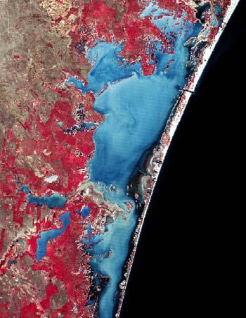 fueron elaborados con imágenes de satélite Landsat TM, en falso color (bandas 4, 3, 2: Infrarrojo, rojo, verde), con una resolución espacial de 30 metros.