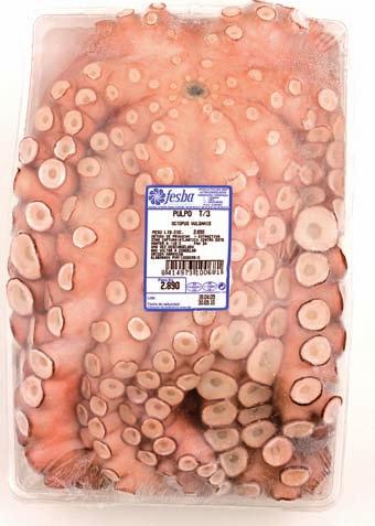 Pulpo crudo bandeja Raw octopus in tray Pulpo entero eviscerado crudo en bandeja Octopus vulgaris FAO 34 Atlántico Centro-Este Una unidad de producto