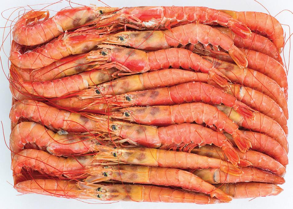 Gambón Argentina Argentinean shrimps Gambón Argentina entero Hymenopenaeus muelleri/pleoticus muelleri FAO 41 Atlántico Suroeste Estuche de 2 kg Caja Master de 12 kg L-5 61-80 piezas/kg L-4 41-60