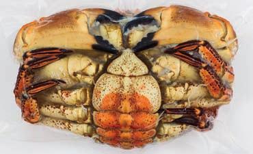 Buey entero cocido Cooked brown crab Buey entero cocido Cancer pagurus FAO 27 Atlántico Noreste Al vacío individual