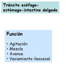 FUNCIONES DEL I. DELGADO 1.