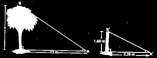 TEMA 7: SEMEJANZA. 1. Calcula las distancias desconocidas y nombra el Teorema que aplicas para hacerlo 1,5 a 2 c 0.8 b 1.2 2.5 2. Calcula la altura de un edificio que proyecta una sombra de 6.