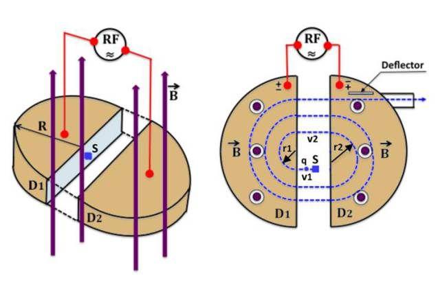 CURSO: BACH Esquema de ciclotrón, donde se aprecian las regiones conductoras huecas en forma de D y los campos eléctrico y magnético.