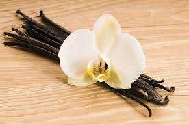 Vainilla de Papantla: Es el fruto maduro de la orquídea