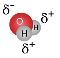 Son moléculas polares aquellas que tienen una parte con mayor densidad de electrones, el polo negativo, y otra parte con menor densidad de