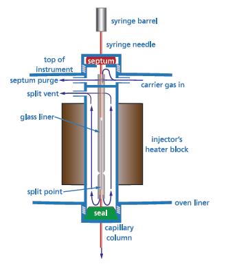 Inyector SPLIT-SPLITLESS Modo Split Se usa para muestras concentradas ppm y más Inyector caliente; vaporiza la muestra Mezclado con gas