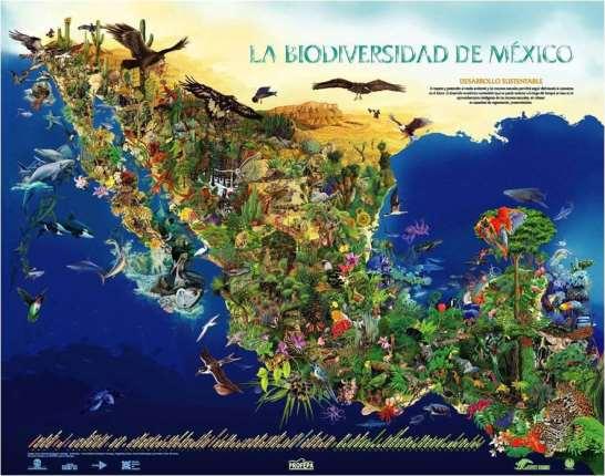 Biodiversidad en México México cuenta con 1.5% de la superficie continental. Quinto país megadiverso en el mundo.