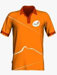 Modelo: Tipo polo con cuello tipo camisa y mangas cortas, color naranja según Diseño 12, exclusivo de CODESUR.