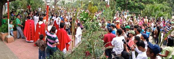 Cercanos al mediodía inició la celebración de ramos con la bendición y la procesión correspondiente. La eucaristía fue presidida por el P. Javier Fuenmayor SJ acompañado por el P.