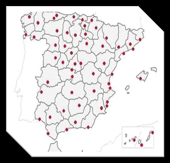 Red de distribución plenamente integrada con la plataforma tecnológica Presencia en todo el territorio español Contamos con más de 395 profesionales especializados