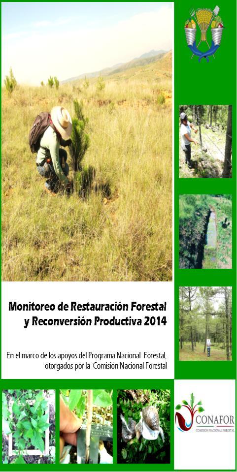 Monitoreo de Restauración Forestal y Reconversión Productiva 2014 Indicador Unidad de medida Valor 2014 Porcentaje de sobrevivencia en campo de la reforestación Porcentaje 56.