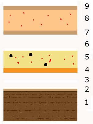 Fig. 7.3:Descripción: Carnación, zona escapular (de abajo a arriba): 1) soporte. 2) capa de cola. 3) Capa de preparación blanquecina(estuco). 4) Capa de color naranja. 5) Capa de color ocre.