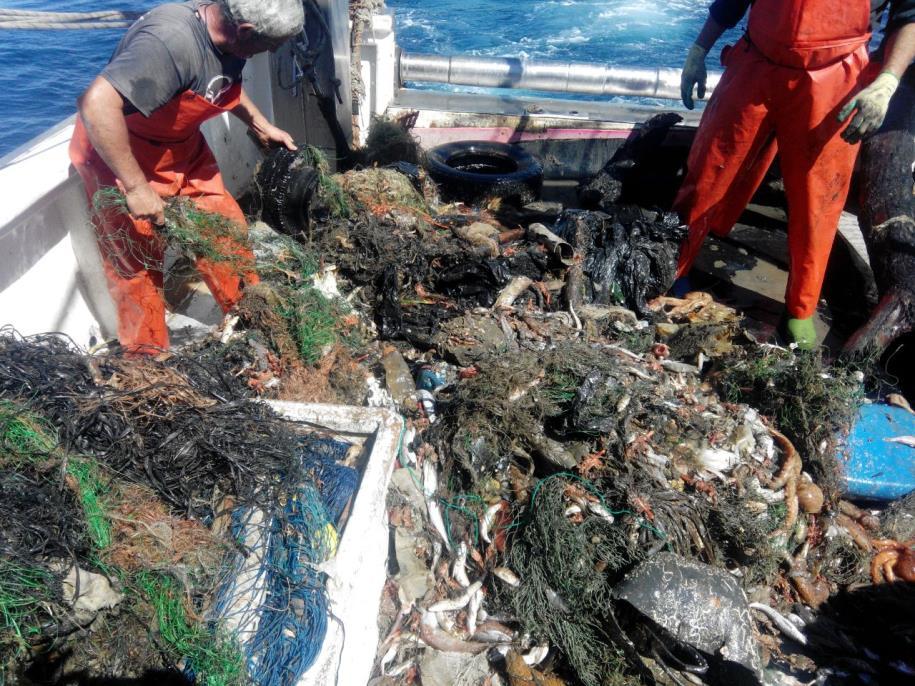 basura" Impulso y financiación de actividades de "pesca de basura En apoyo a las iniciativas del sector pesquero Fuente: Proyecto Ecopuertos El sector