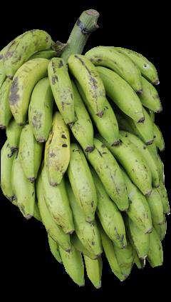 Banano maduro, criollo, mediano (quintal) Limón criollo, mediano, de primera (millar) 100.00 100.00 0.