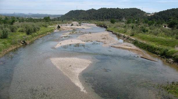 Aplicación del Índice Hidrogeomorfológico IHG a la cuenca del Ebro cauce un pequeño embalse, el embalse de Margalef, de unos 2,3 hm 3 de capacidad, que también regula en cierta medida los caudales y