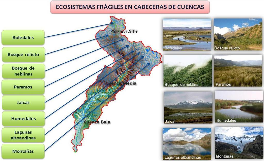Efectos del Cambio Climático y sus consecuencias REDUCCIÓN HÍDRICA EN CABECERAS DE CUENCAS - SEQUÍAS Las