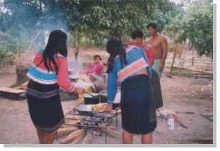 Fortalecimiento de la Seguridad Alimentaria en las comunidades nativas del Distrito de Iparía La cual contempla la capacitación técnica de las poblaciones indígenas en la generación de alimentos para