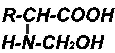 12.5.- Diferenciación entre péptidos de diferentes longitudes de cadena Rotule tres tubos de ensayo como A, B y C y coloque en ellos lo siguiente: A: 3 ml de solución de yema de huevo al 1% B: 3 ml