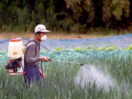 Además, se utilizan pesticidas para exterminar especies no deseadas que dañan los