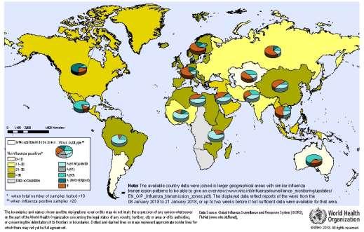 8.2 Situación mundial y regional de la transmisión de influenza La información mundial sobre influenza se clasifica por zonas de transmisión, que son grupos geográficos de países, áreas o territorios